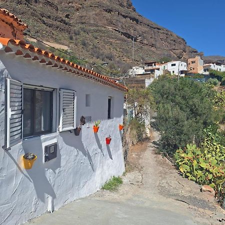 Casa Rural Los Pinares El Juncal De Tejeda Luaran gambar