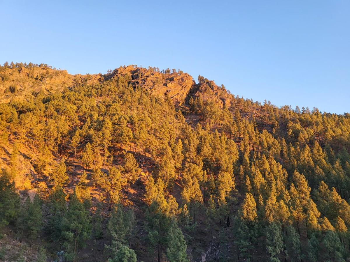 Casa Rural Los Pinares El Juncal De Tejeda Luaran gambar