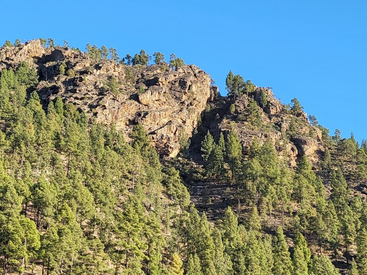 Casa Rural Los Pinares El Juncal De Tejeda Luaran gambar