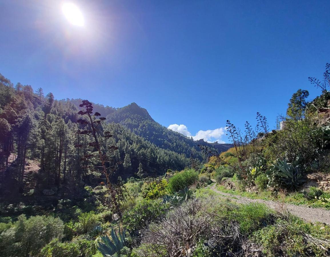 Casa Rural Los Pinares El Juncal De Tejeda Luaran gambar