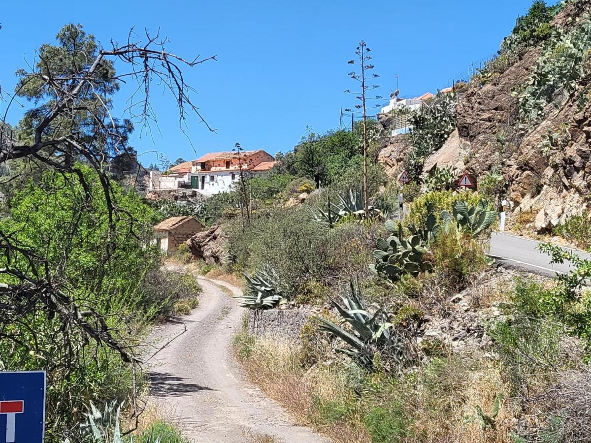 Casa Rural Los Pinares El Juncal De Tejeda Luaran gambar