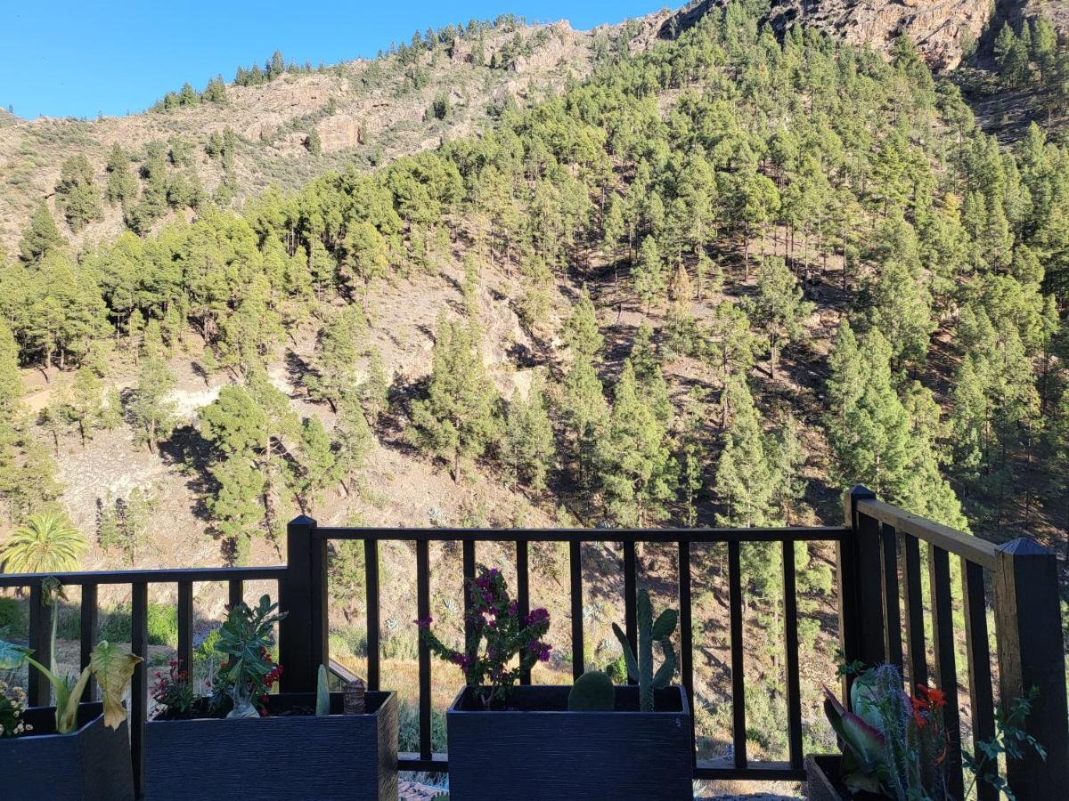 Casa Rural Los Pinares El Juncal De Tejeda Luaran gambar