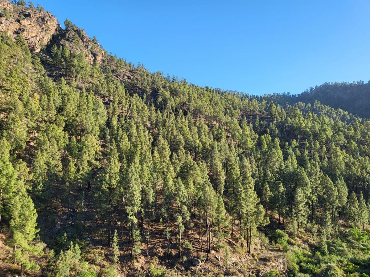 Casa Rural Los Pinares El Juncal De Tejeda Luaran gambar